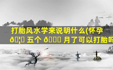 打胎风水学来说明什么(怀孕 🦁 五个 🐅 月了可以打胎吗)